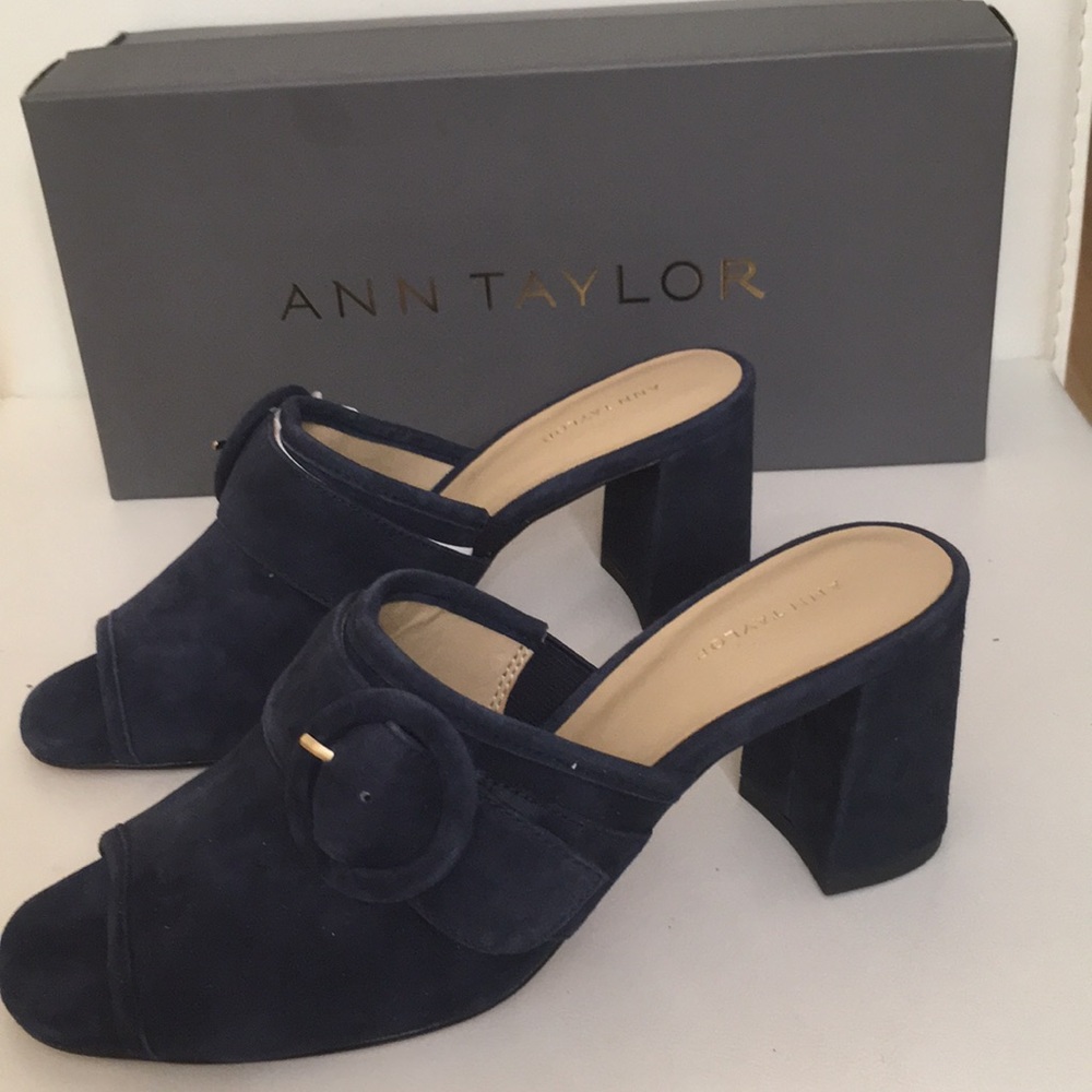 Ann Taylor Suede Blue Shoes